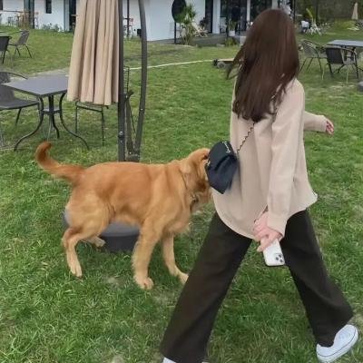 首尔单身日记